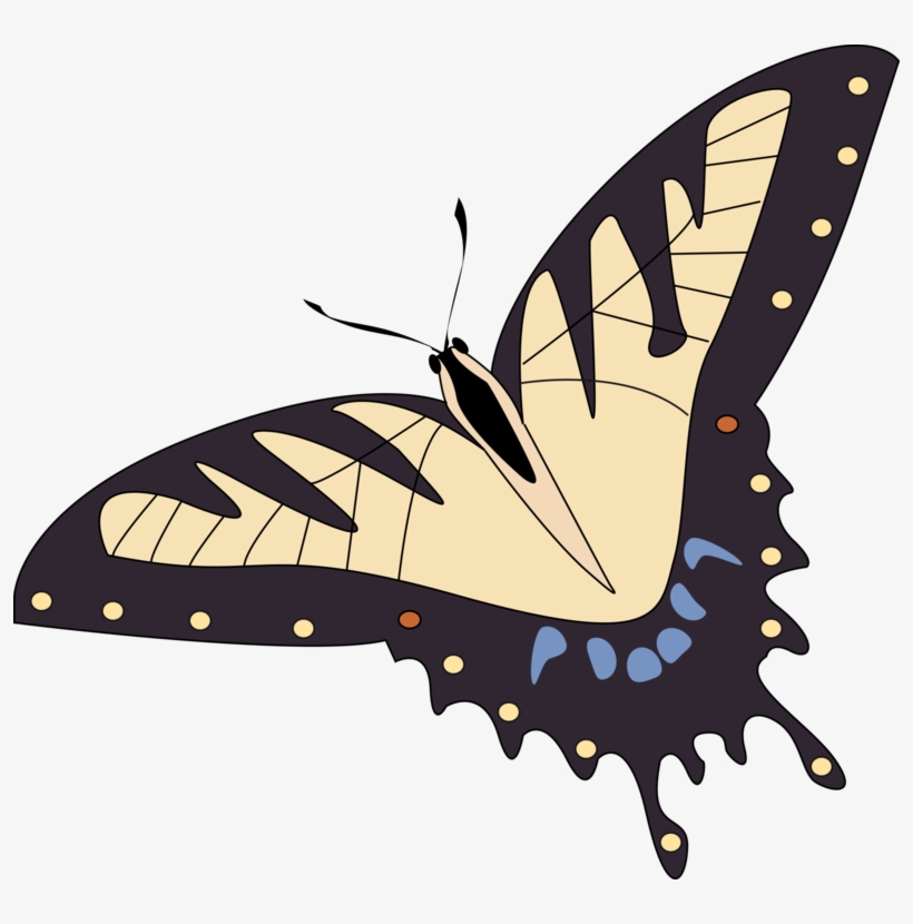 Butterfly Papillon Dog Insect Blue Morpho Luna Moth - Papillon Butterfly, transparent png