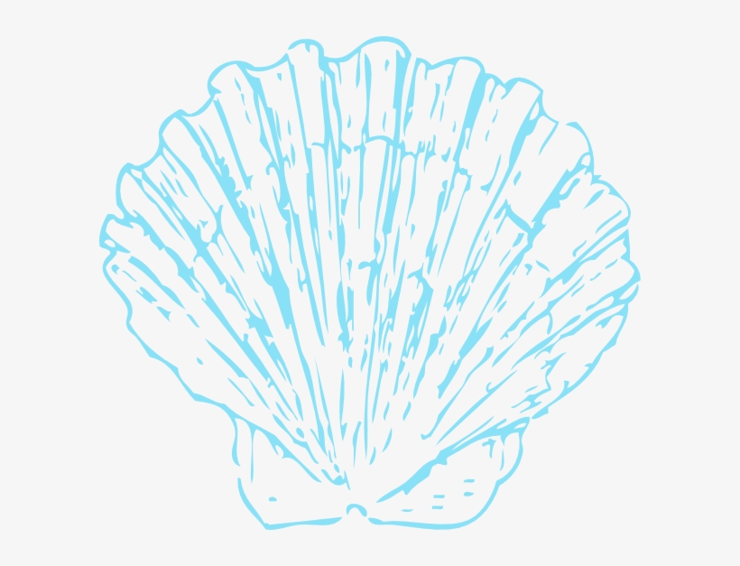 Vector Free Download Seashells Clipart Ombre, transparent png
