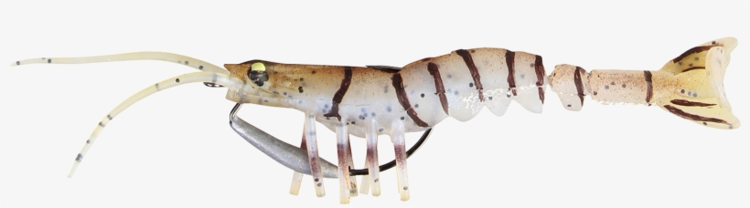 Transparent Shrimp Saltwater Vector Download - Savage Gear, transparent png