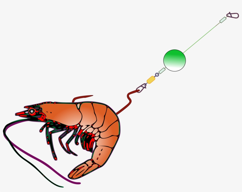 Medium Image - Fishing Bait Clip Art, transparent png