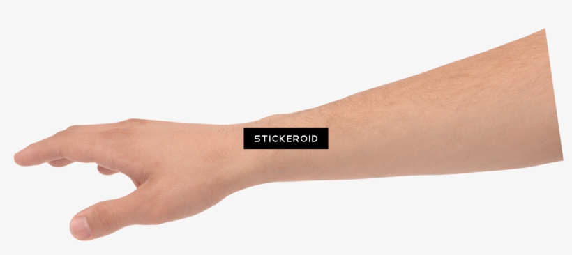 Hands Hand - Heel, transparent png