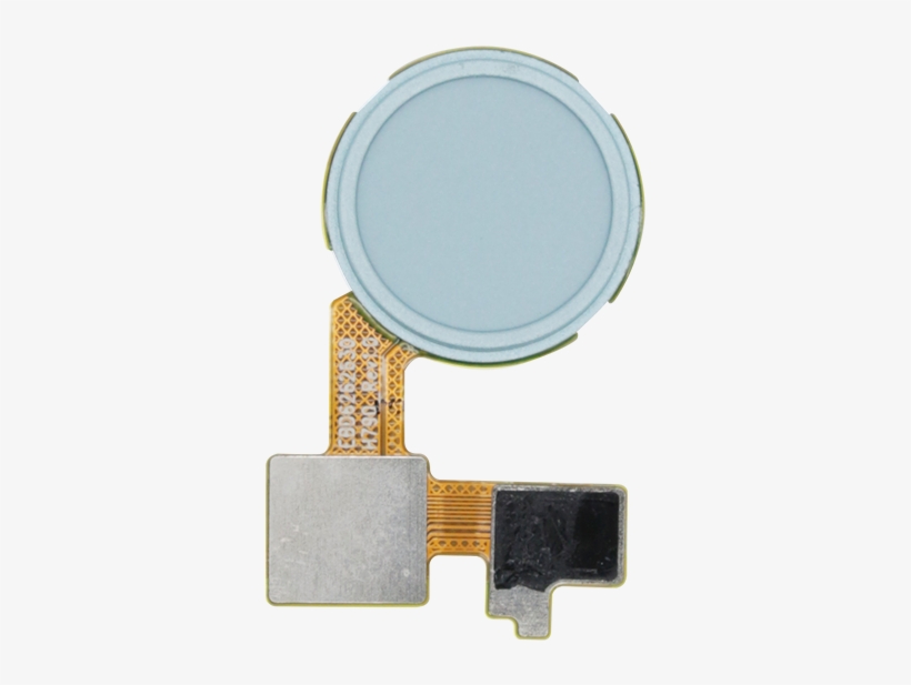 Lg Nexus 5x Earpiece Speaker - Fingerprint Scanner, transparent png