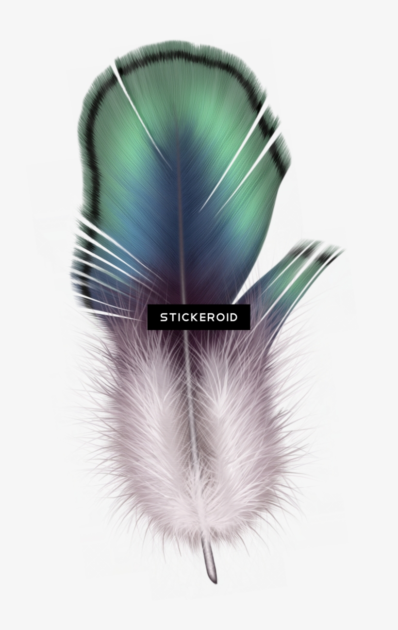 Feather - Truck Motorcycle Car Lorcoo Universal Motorcycles #00001, transparent png