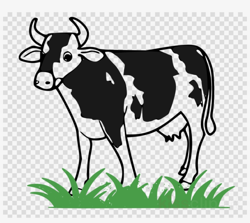 Cow Png Clipart Taurine Cattle Holstein Friesian Cattle - Cattle Cliparts, transparent png