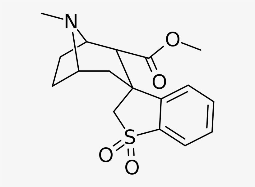 Spirocyclic Cocaine Analog - L Isoproterenol, transparent png