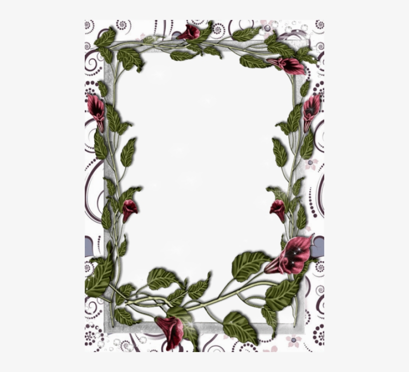 Free Png Transparent White Flowers Frame Png Images - White Flower Frame Transparent, transparent png