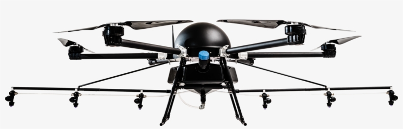 Traditionally, The Work Of Reforesting Is Done Mostly, transparent png