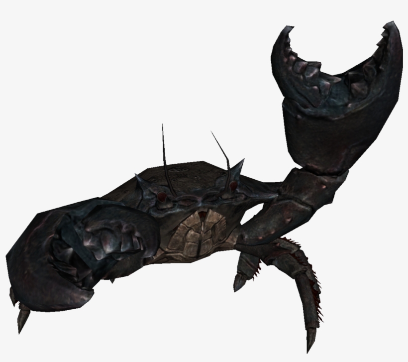 Crab.png, transparent png