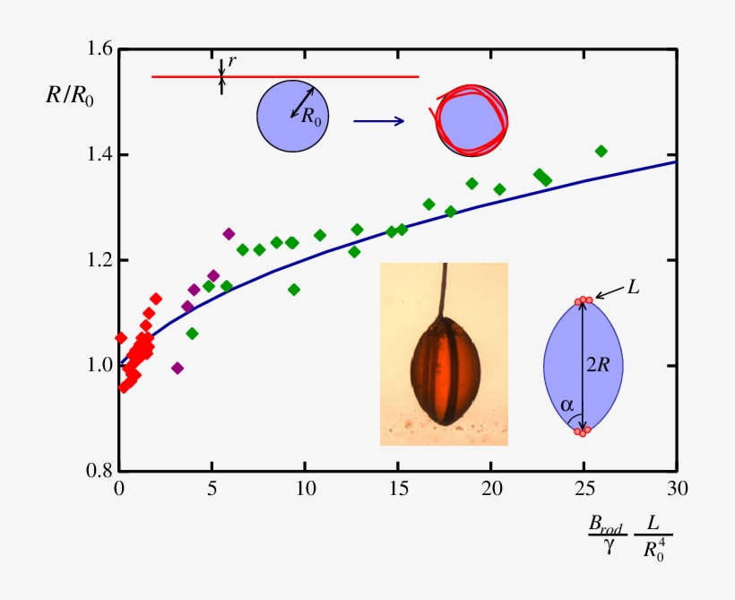 Liquid Droplet Maintained In Levitation In A Bath Of - Liquid, transparent png