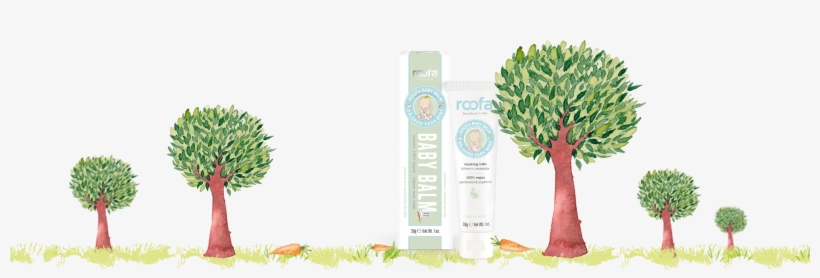 Baby - Tree, transparent png