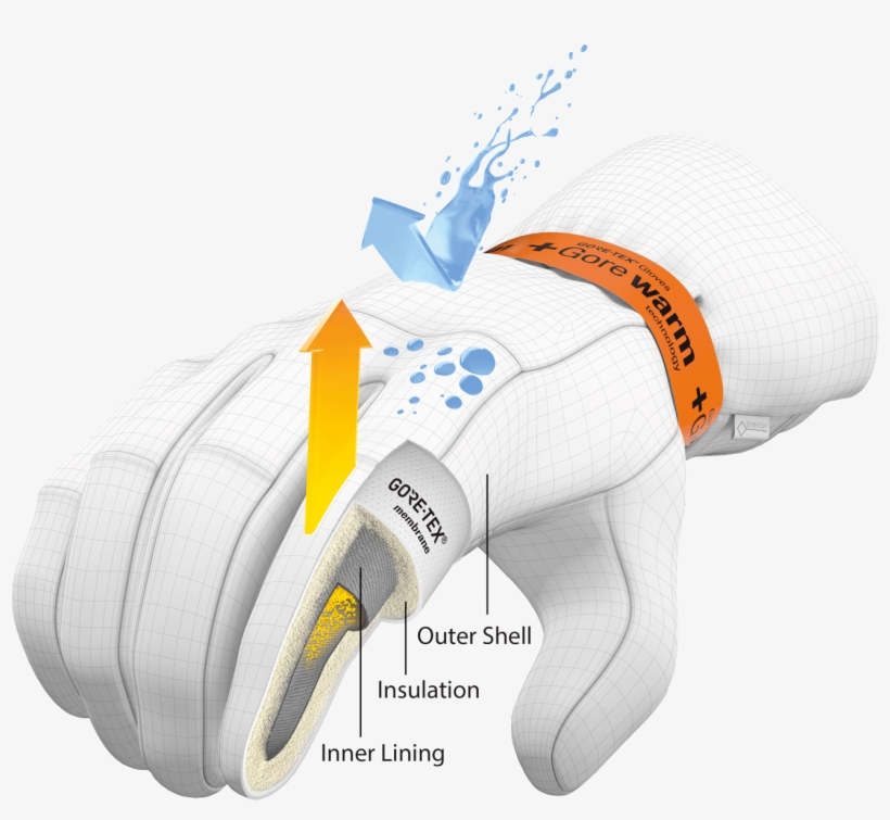 Gloves Engineered With Gore-tex Inserts And Gore Warm - Gore Tex Insert, transparent png