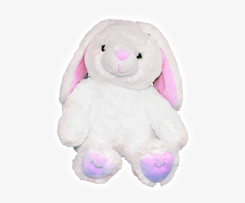 Bunny, transparent png