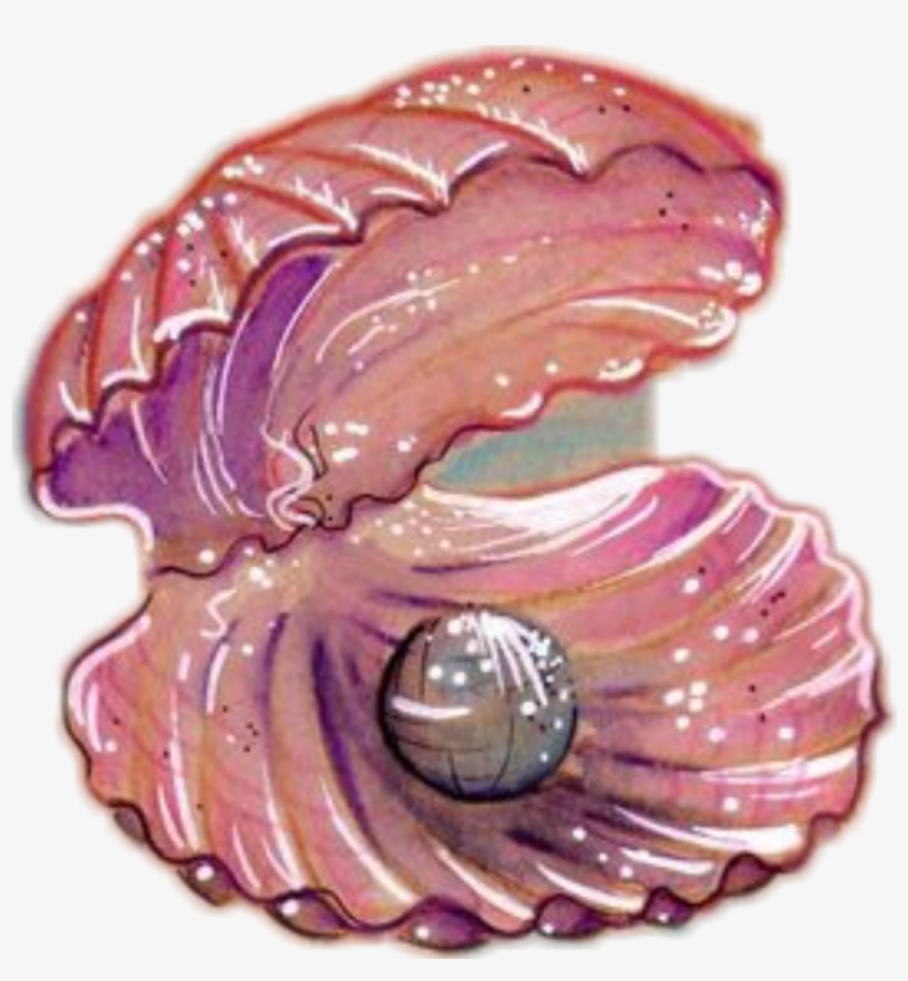 Shell Sea Pearl Seashell Ocean Pink - Tattoo, transparent png
