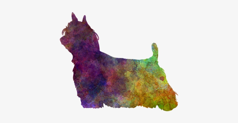 Long Hair In Watercolor By Pablo Romero - Art Print: Paulrommer's Yorkshire Terrier Long Hair, transparent png