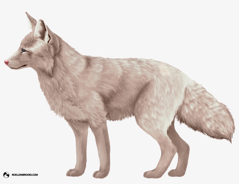 Miko The Champagne-colored Ranched Red Fox - Champagne Fox, transparent png
