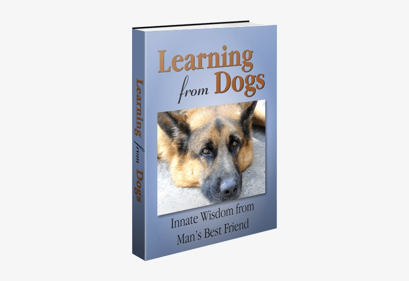 Learning From Dogs - Learning From Dogs: Innate Wisdom From Man's Best Friend, transparent png