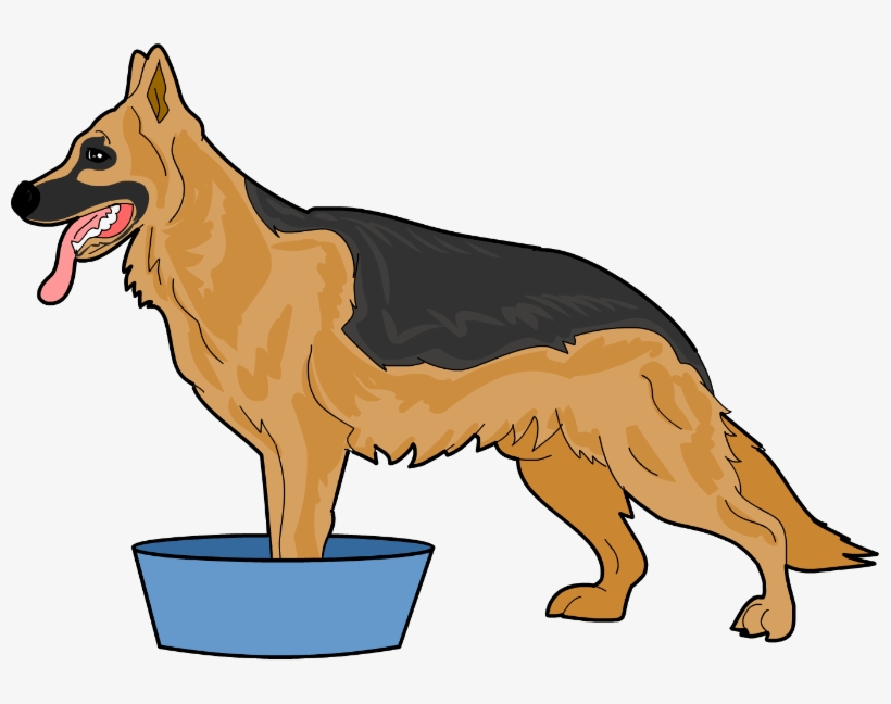 Fill Your Tub, Container Or Sink With Warm Water - Dog Catches Something, transparent png