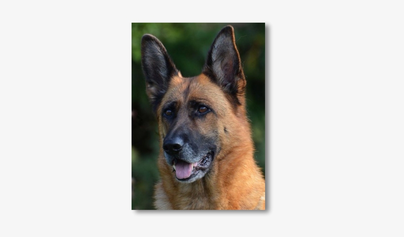 Square Square Square - Square, Inc., transparent png