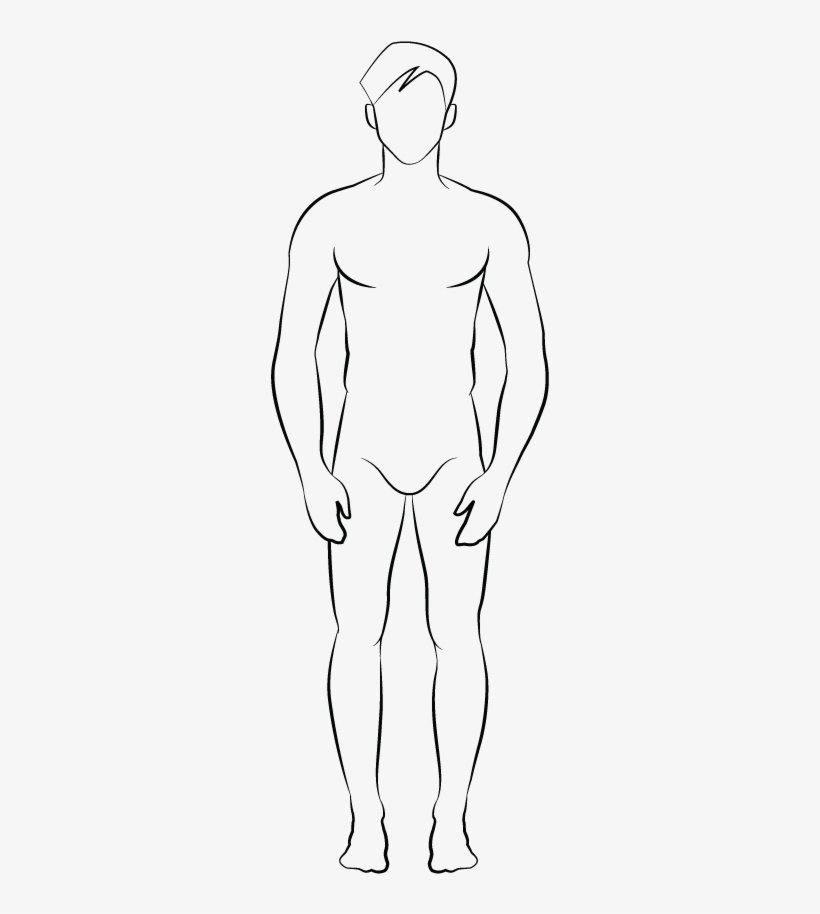 Labelled Spine - Line Art, transparent png