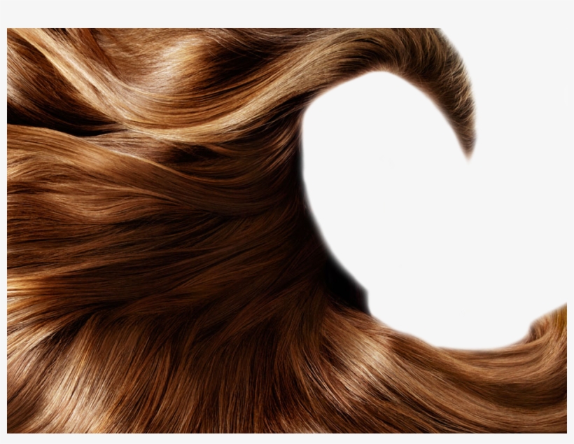 Silkier Than Ever With Pelo Baum Hair Products - Lightweight Styling Round Brush With Bonus Argan Oil, transparent png