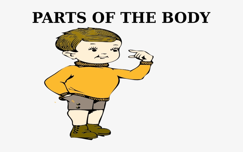 Parts Of The Body Clip Art At Clker Body Clipart Png - Part Of Body Png, transparent png