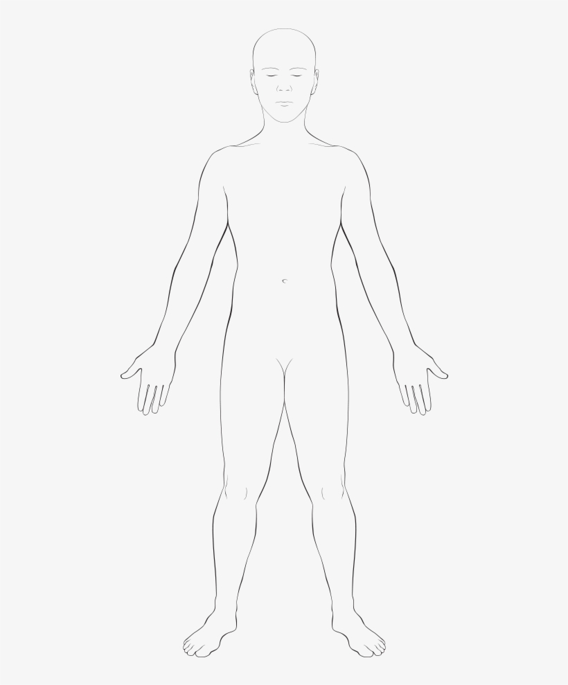 Interactive Body - Sketch, transparent png