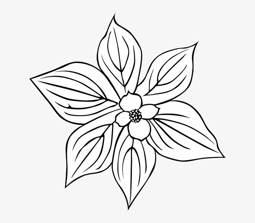 Black, Outline, Plants, Flower, Flowers, Outlines - Outline Of A Flower, transparent png