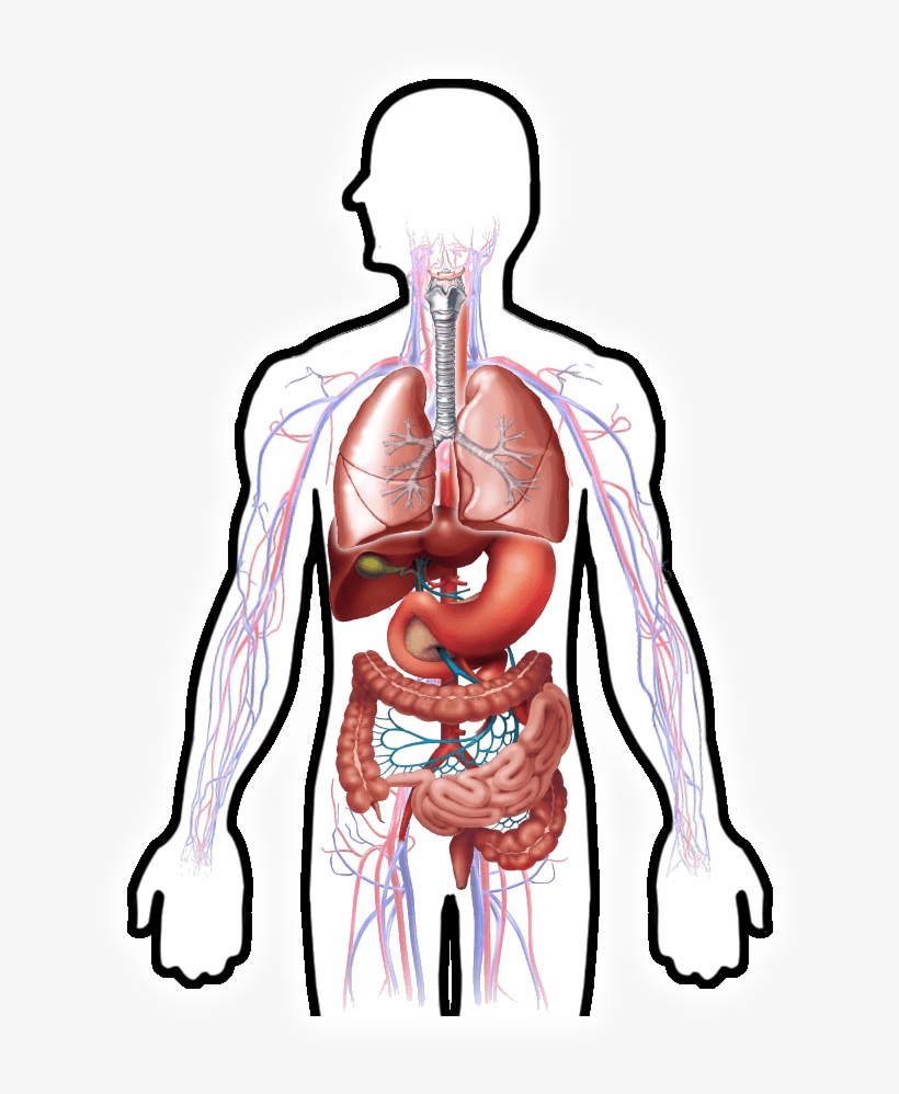 Microbe Magic, transparent png