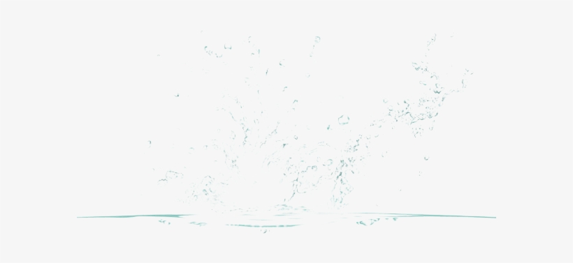 Rain Transparent Png - Flock, transparent png
