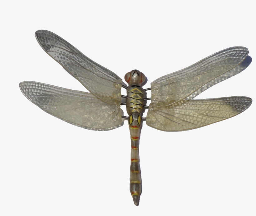 Colorful Vector Dragonfly - Dragonfly Png, transparent png