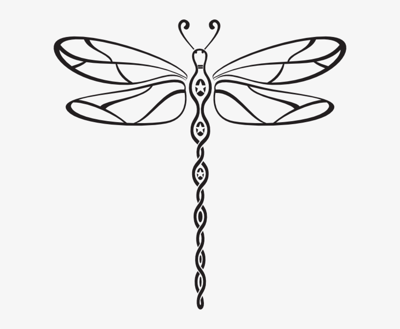 Fly Drawing Dragonfly - Dreams And Nightmares Of A Menopausal Woman, transparent png