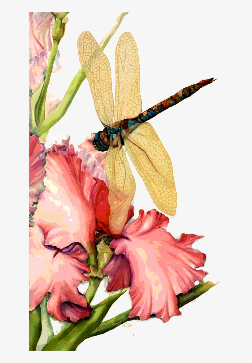 Mpc51qtm83jwiyrph6w - Painting, transparent png