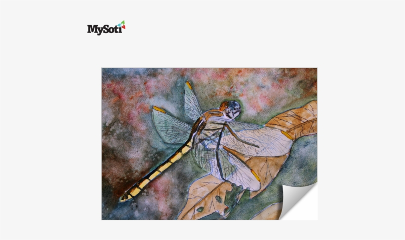 Product Blog - Artwall Derek Mccrea 'dragonfly' Gallery-wrapped Canvas, transparent png