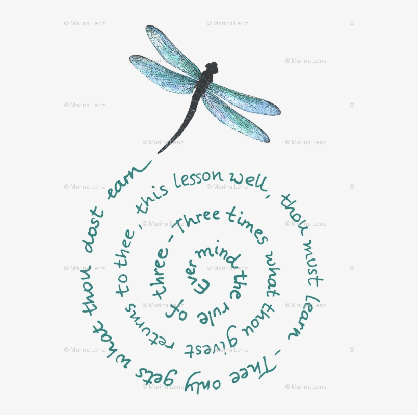 Dragon Fly Spiral, transparent png