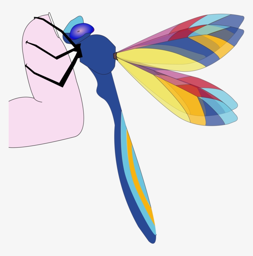 Computer Icons Art Dragonfly Thumbnail Insect - Custom Colorful Dragonfly Mugs, transparent png