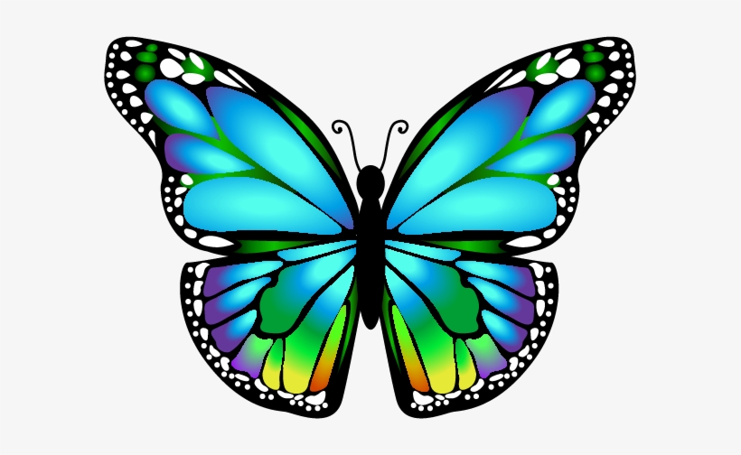 Butterfly Mariposa Ms - Butterfly Clip Art, transparent png