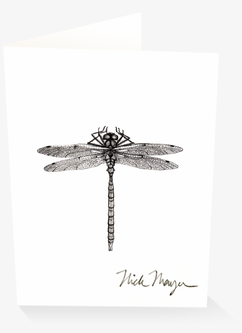 Dragonfly V=1524851225 - Dragonfly, transparent png