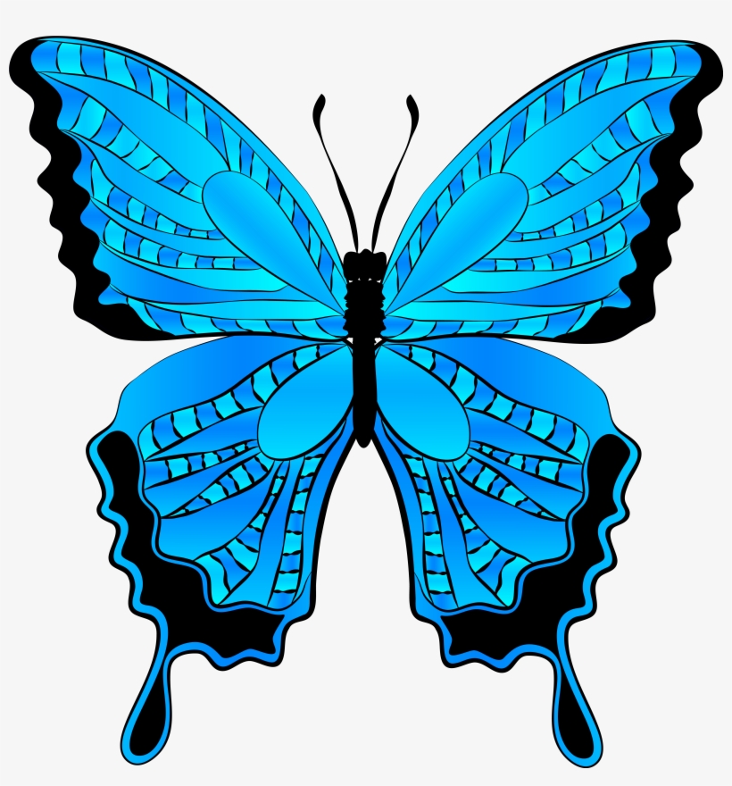 Butterfly Clip Art Bedroom Designs Dragonflies And - Blue Butterfly Clipart, transparent png