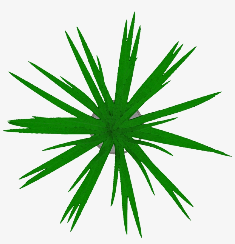 Top View Pot Plant Cutout - Cannabis, transparent png