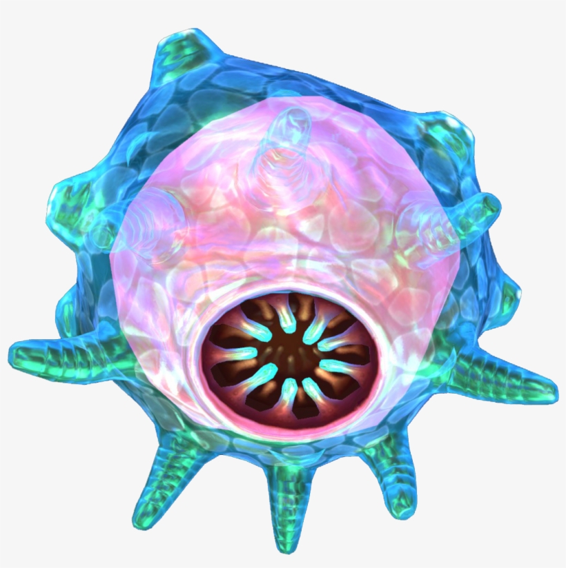 Fauna, transparent png