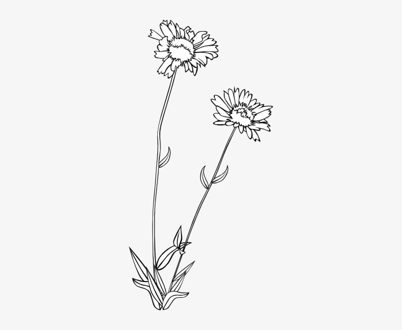 Wreath Yellow Flower Drawing Watercolor Small Stock - Sketches Of Wild Flowers, transparent png
