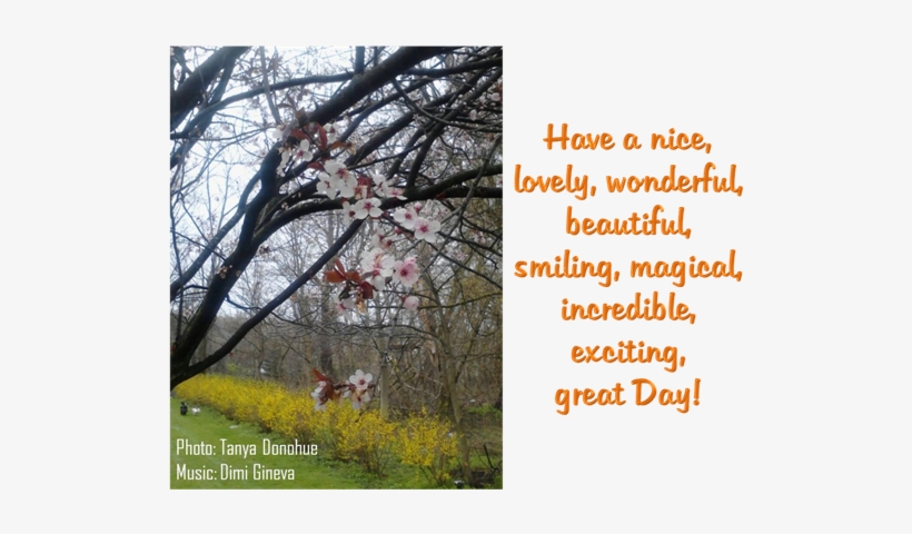 Have A Magical Day - Happy Birthday Surfer Card, transparent png