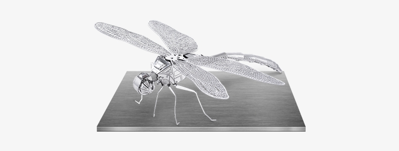 $9 - - 3d Metal Model Dragonfly, transparent png