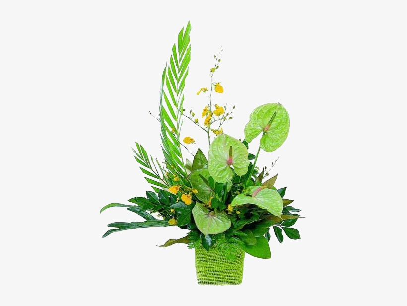 Tropical Flowers Bb Exotic Gardens - St Patrick Day Floral Arrangements, transparent png