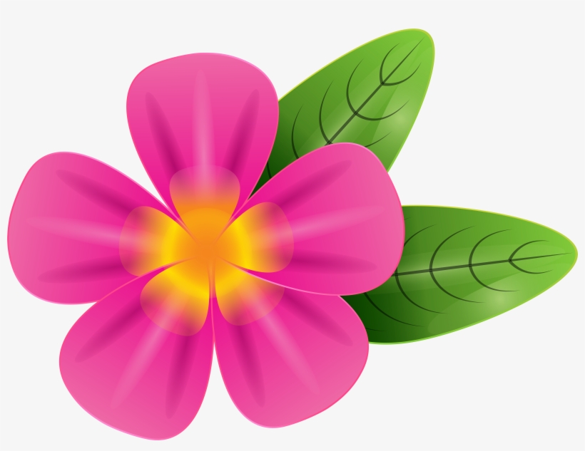 Pink Vector Tropical Flowers Seamless Pattern - Frangipani Clipart Png, transparent png