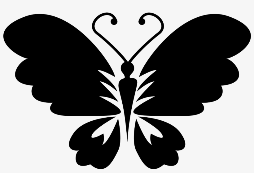 Black Butterfly Top View With Opened Wings Comments - Icon, transparent png