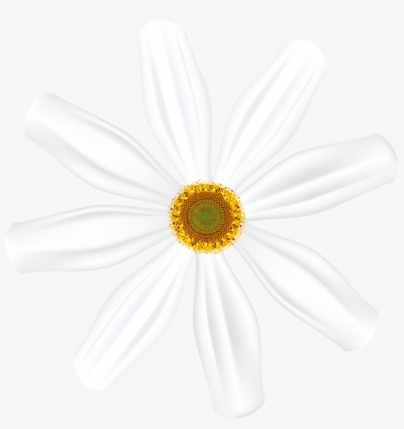 Black And White Flower Png, transparent png