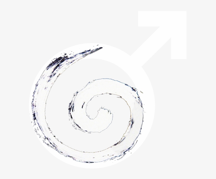 See You On Mars - Histology, transparent png