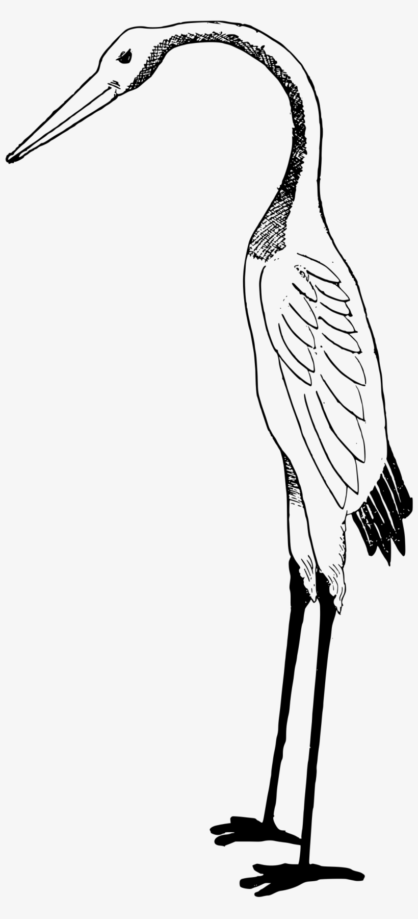 Big Image - Stork Clipart White And Black, transparent png