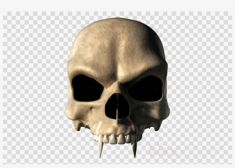 Vampire Skull Png Clipart Skull Vampire Drawing - Asteroid With No Background, transparent png
